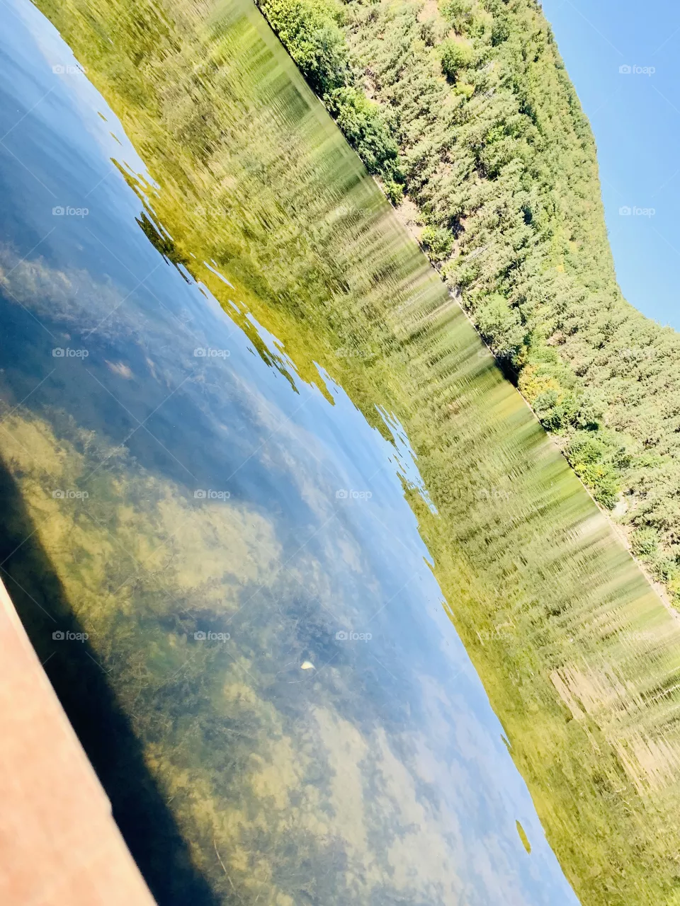 Summer by the lake 