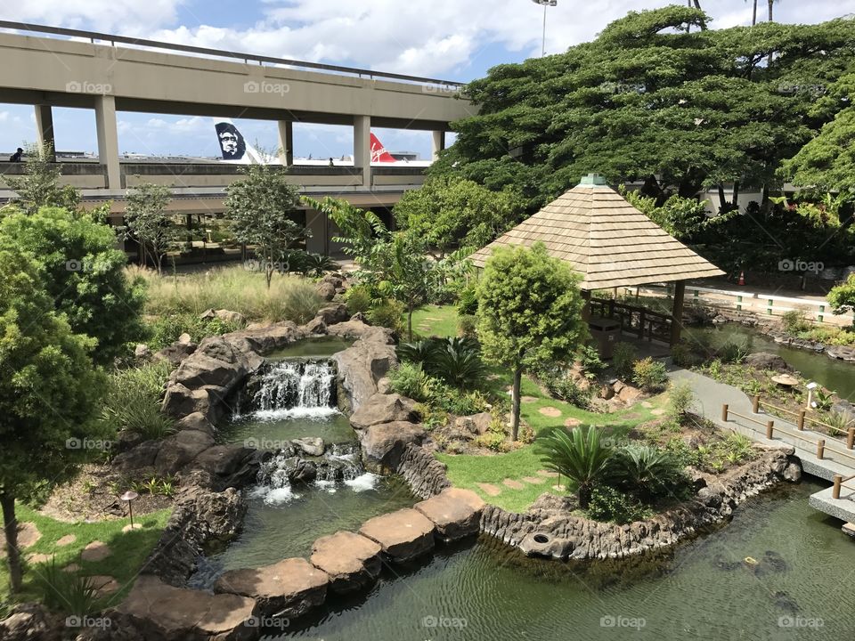 Honolulu airport inside terminal has an outdoor garden 