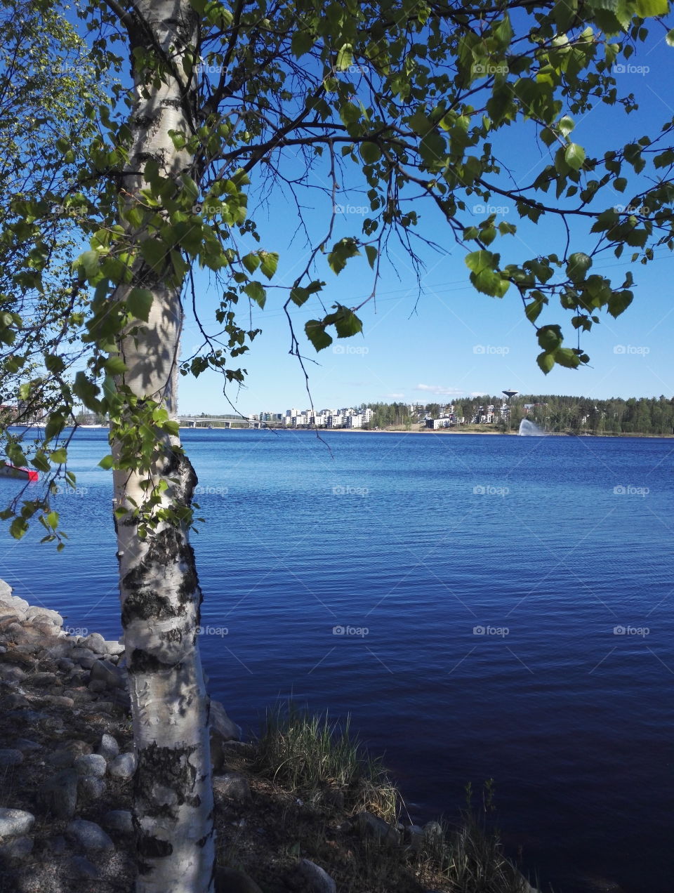 Lake Jyväsjärvi