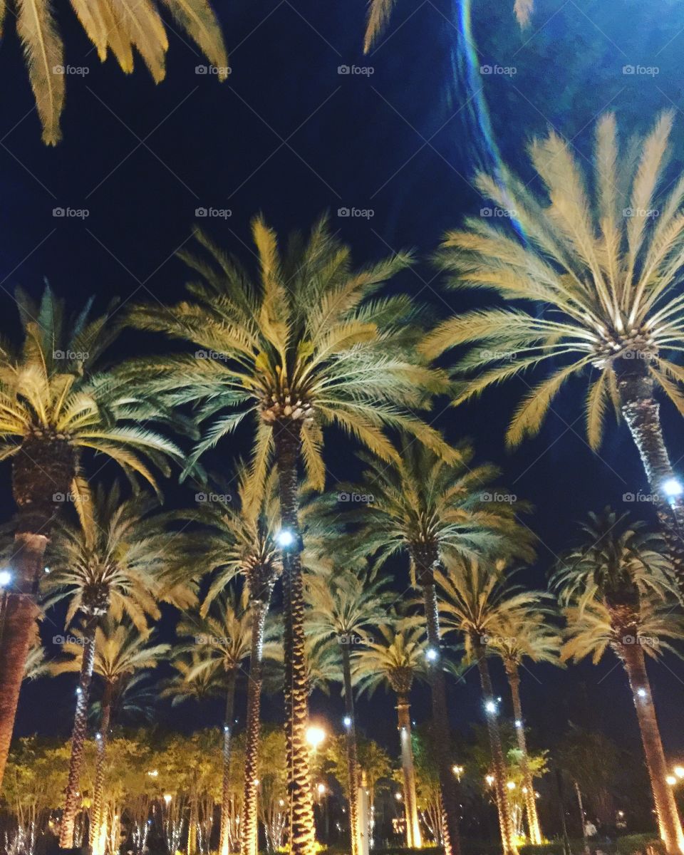 One thing that makes me smile.