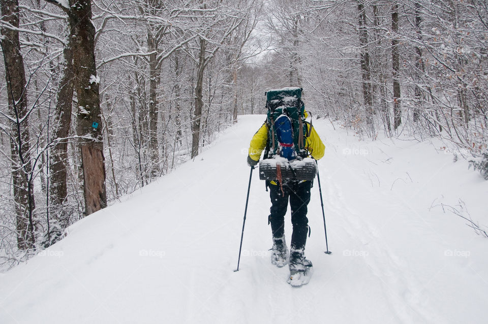 Man snowshoeing in the woods with a backpack on