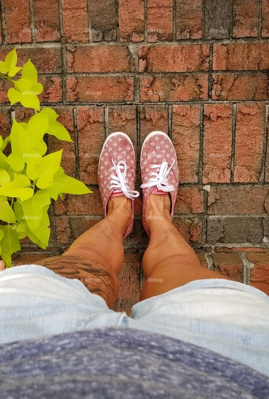 Beautiful day to take a walk through the neighborhood.