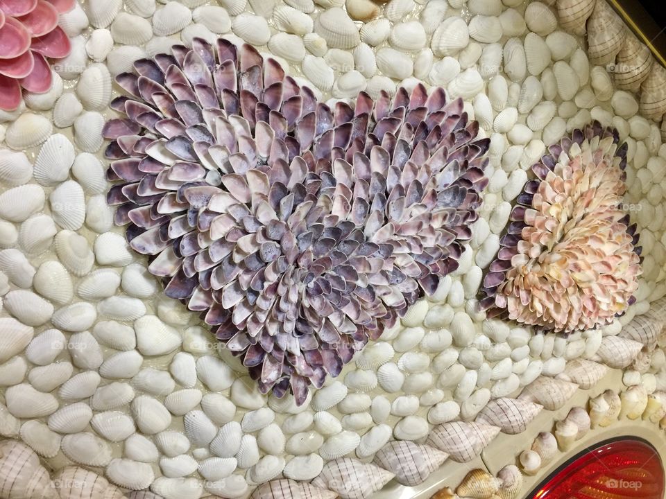 Seashell Hearts