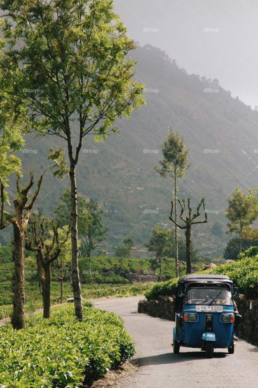 Nice Place To go For A Walk