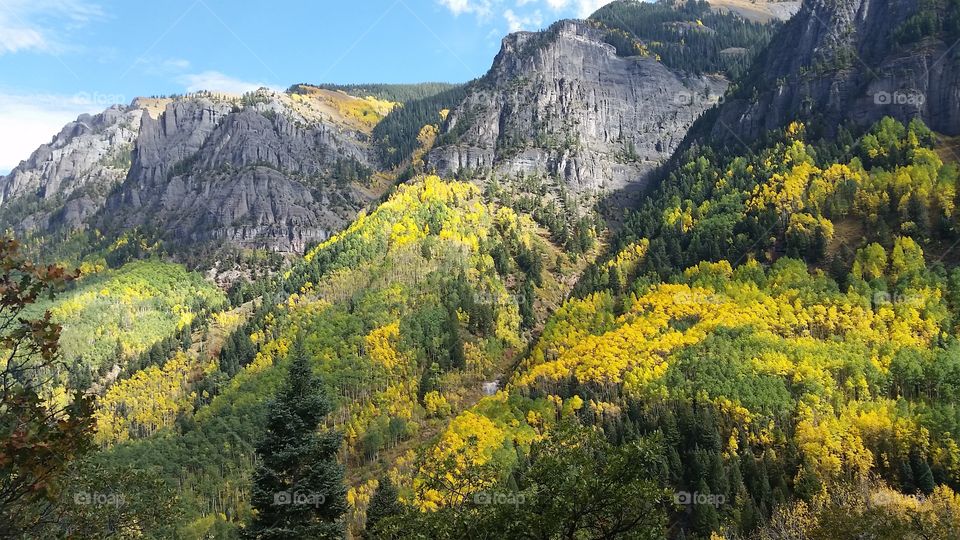 Landscape, Wood, Mountain, Fall, Nature
