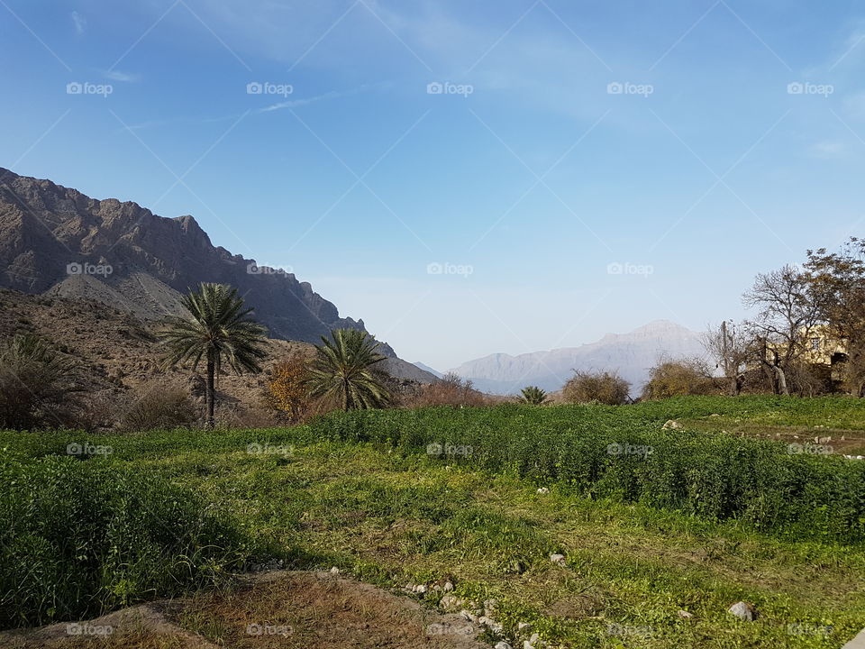 Mountain Scene - Oman