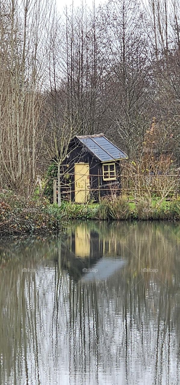 reflet dans les marais