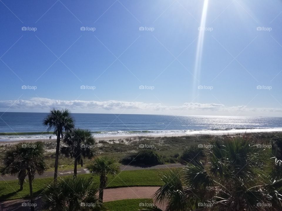 Amelia Island Plantation