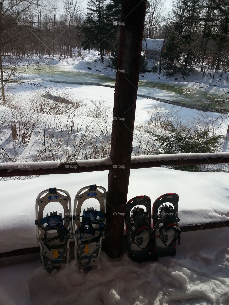 Snowshoes with a view