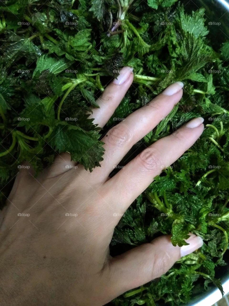 manicure and nettles