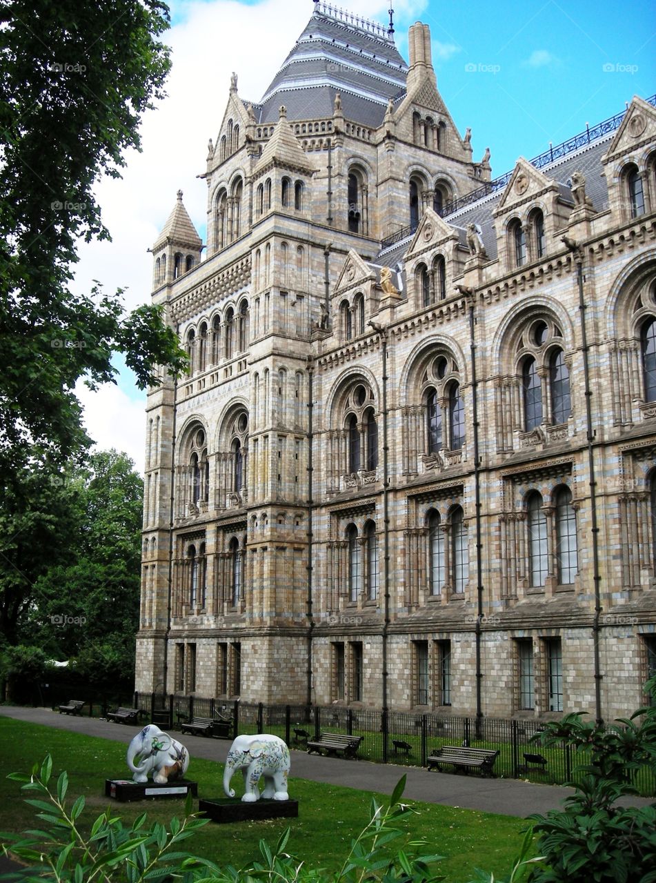 National History Museum in London