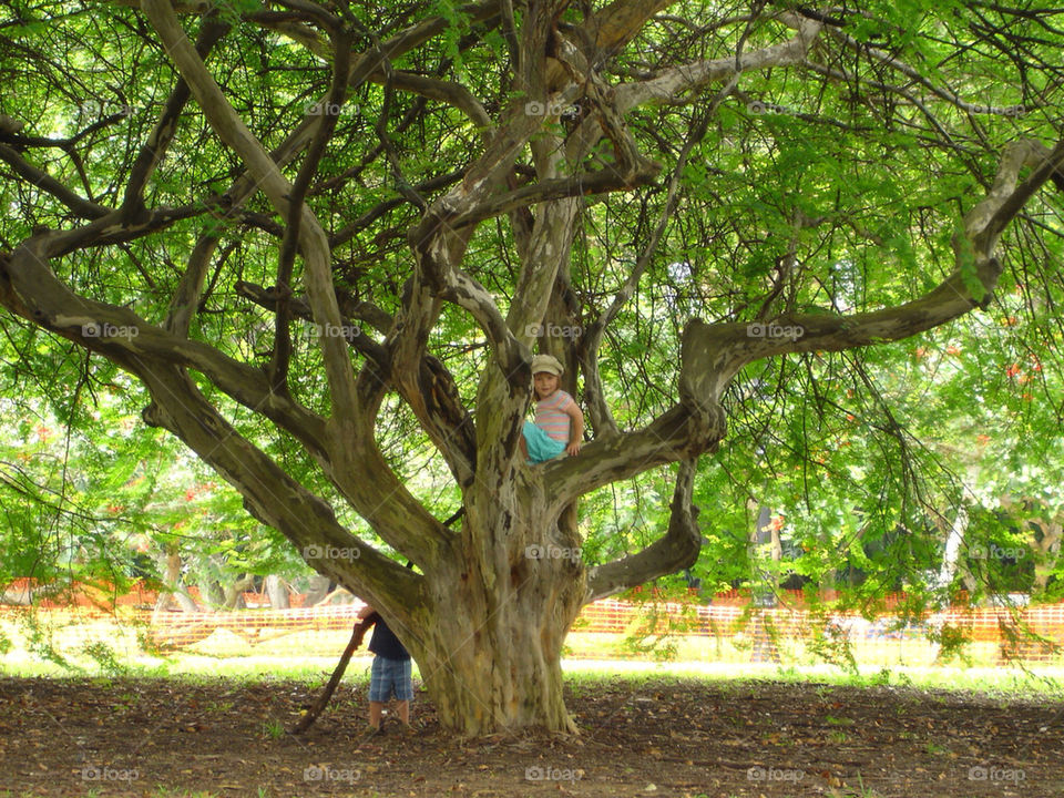 girl children tree boy by rickie947