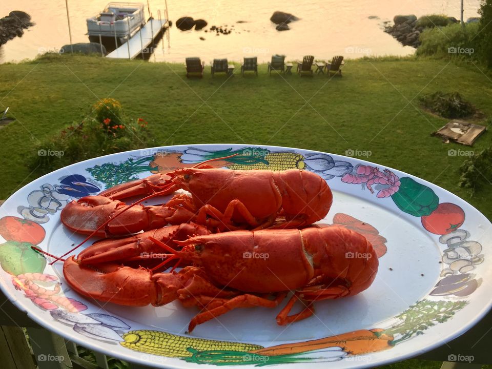 Two cooked lobsters on plate outdoors at lake at sunset 