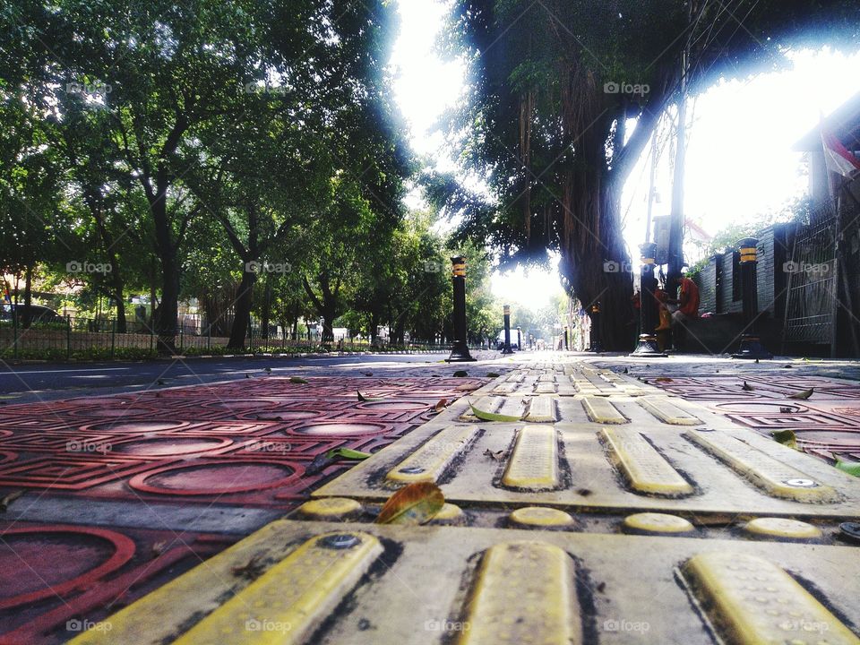The atmosphere of the morning before noon on the roadside with strong winds