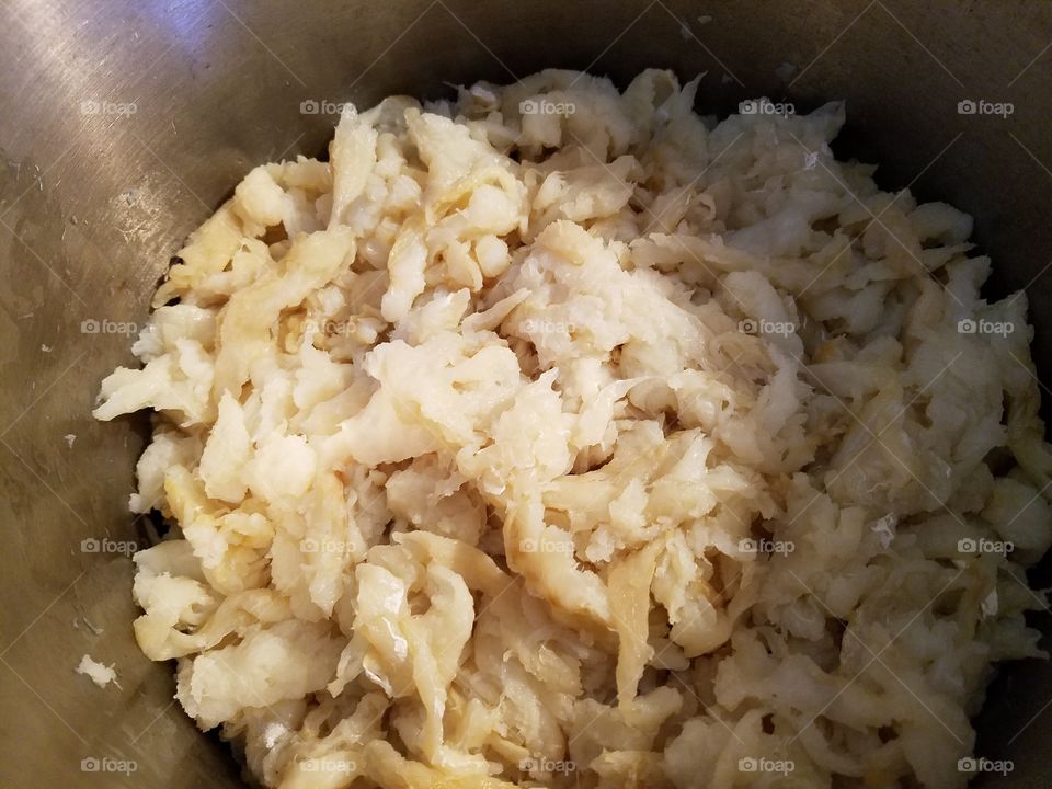 cod fish, bacalhau, bacalau