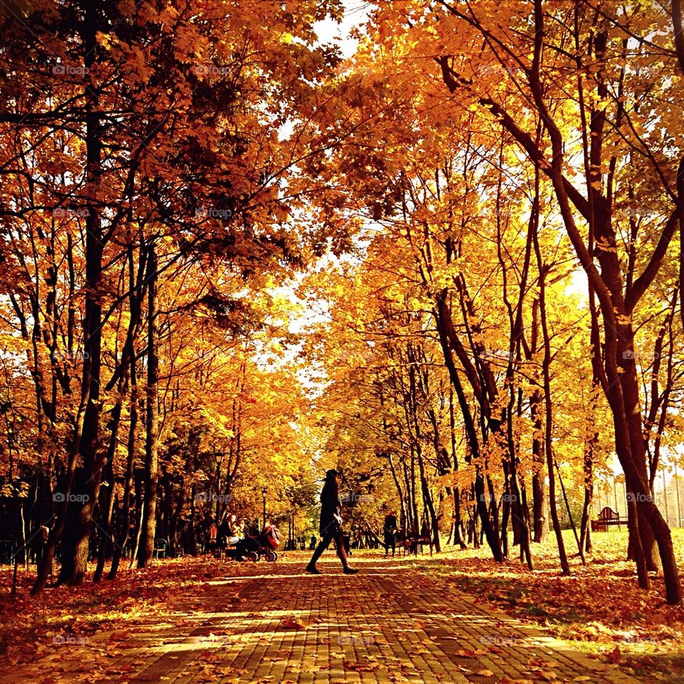 A person walking in between road