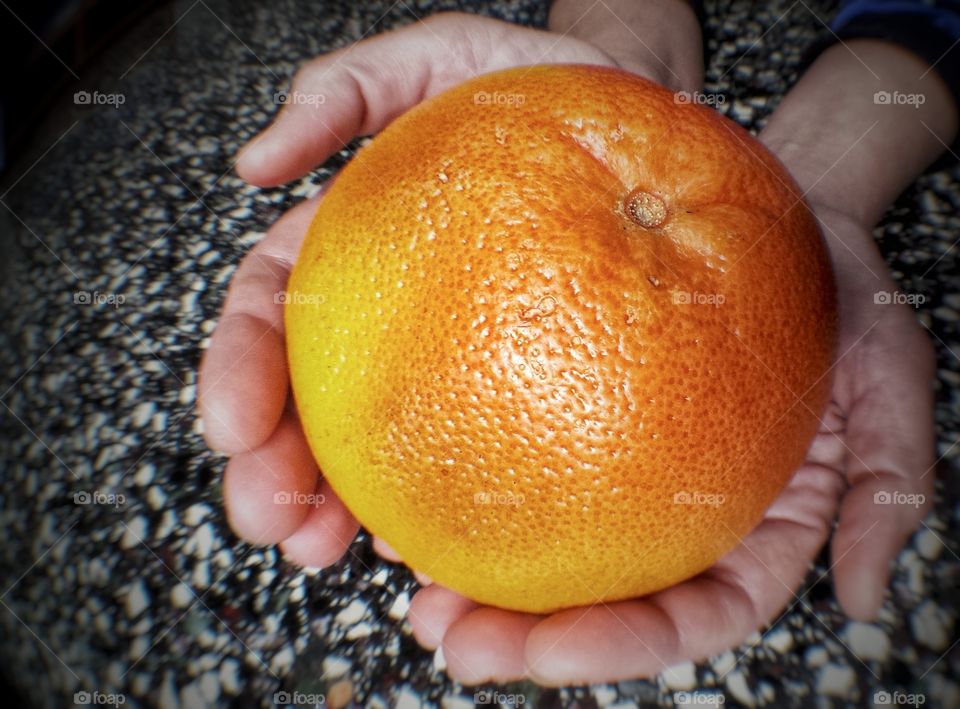 Close-up of a orange