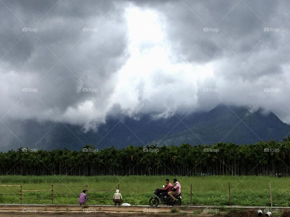 Riding - Countryside 