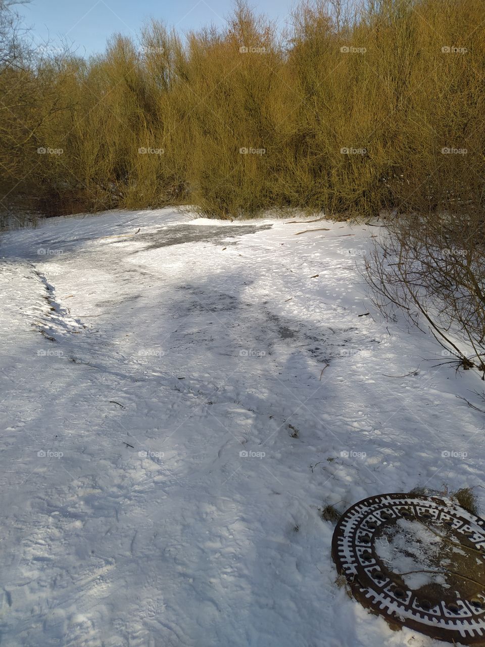 frozen pond