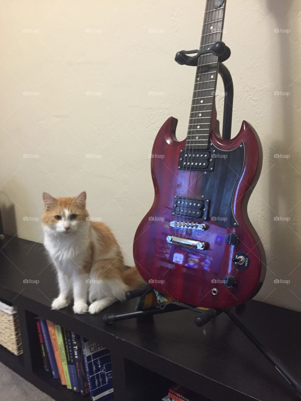 No Person, Instrument, Music, One, Guitar