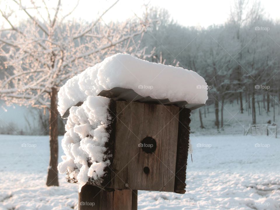 Birdhouse in the Snow 