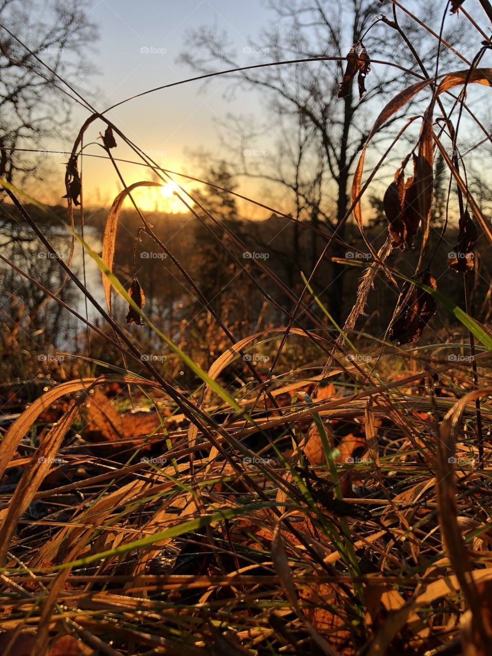 Nature is beautiful in the morning