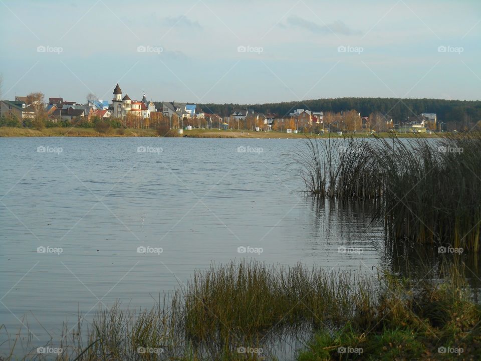 Water, River, Landscape, Lake, Tree