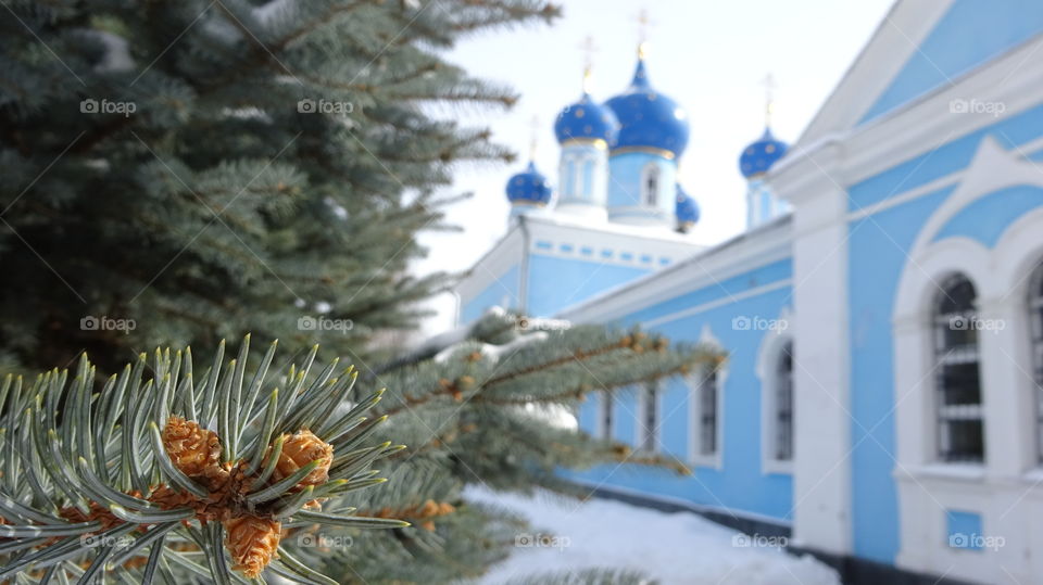 Church of the Assumption of the Blessed Virgin Mary