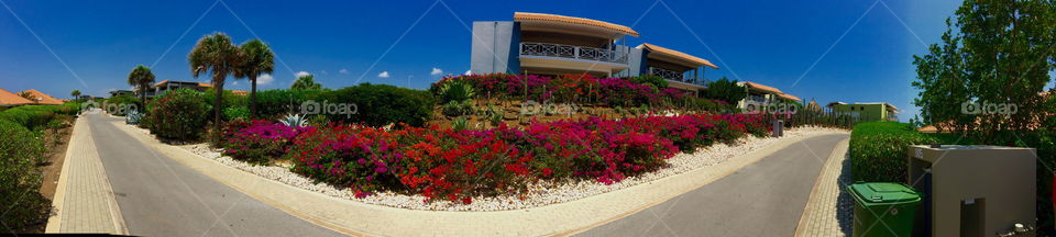 No Person, Architecture, Flower, Outdoors, Summer