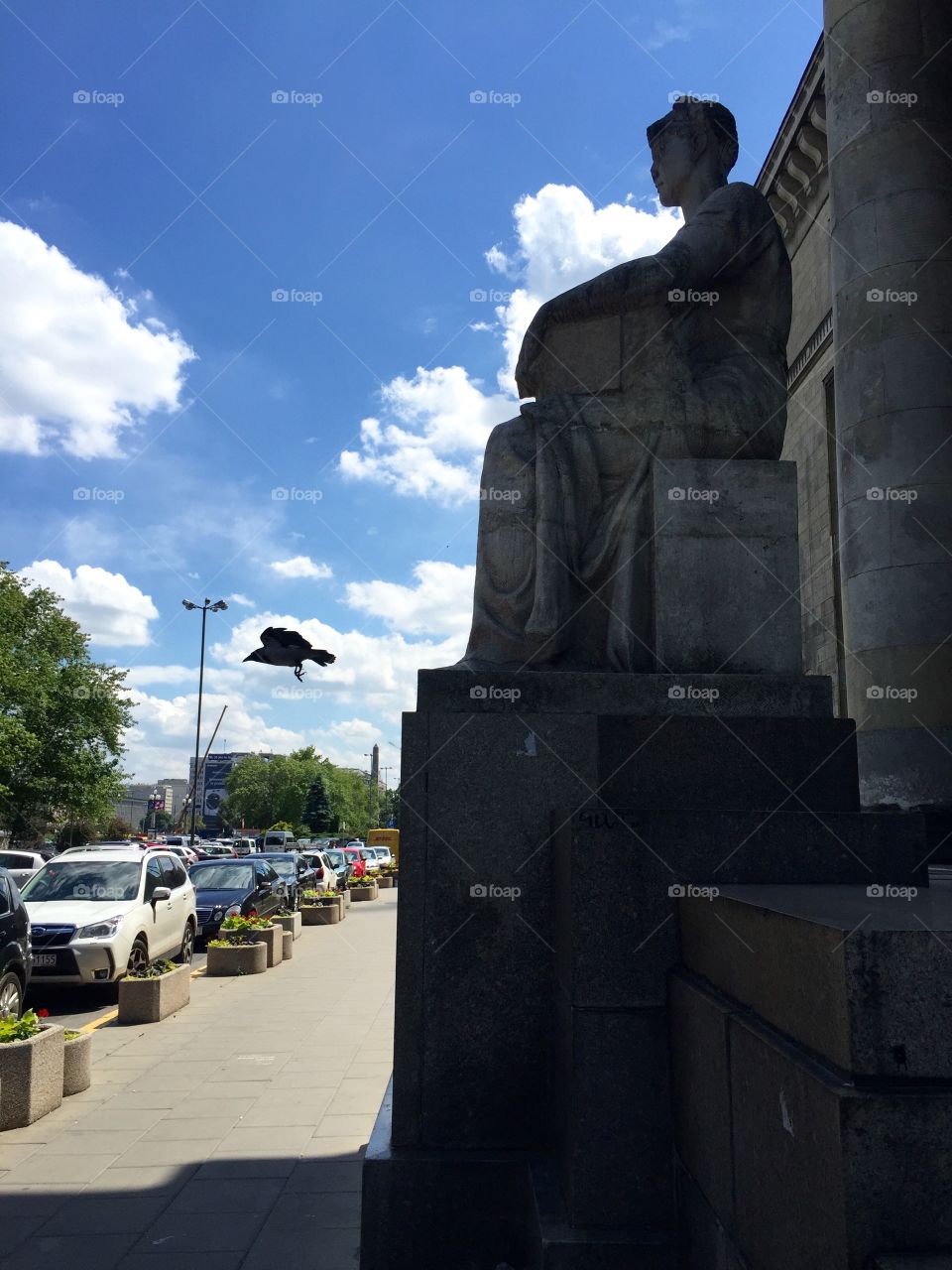 A raven taking off from the statue 