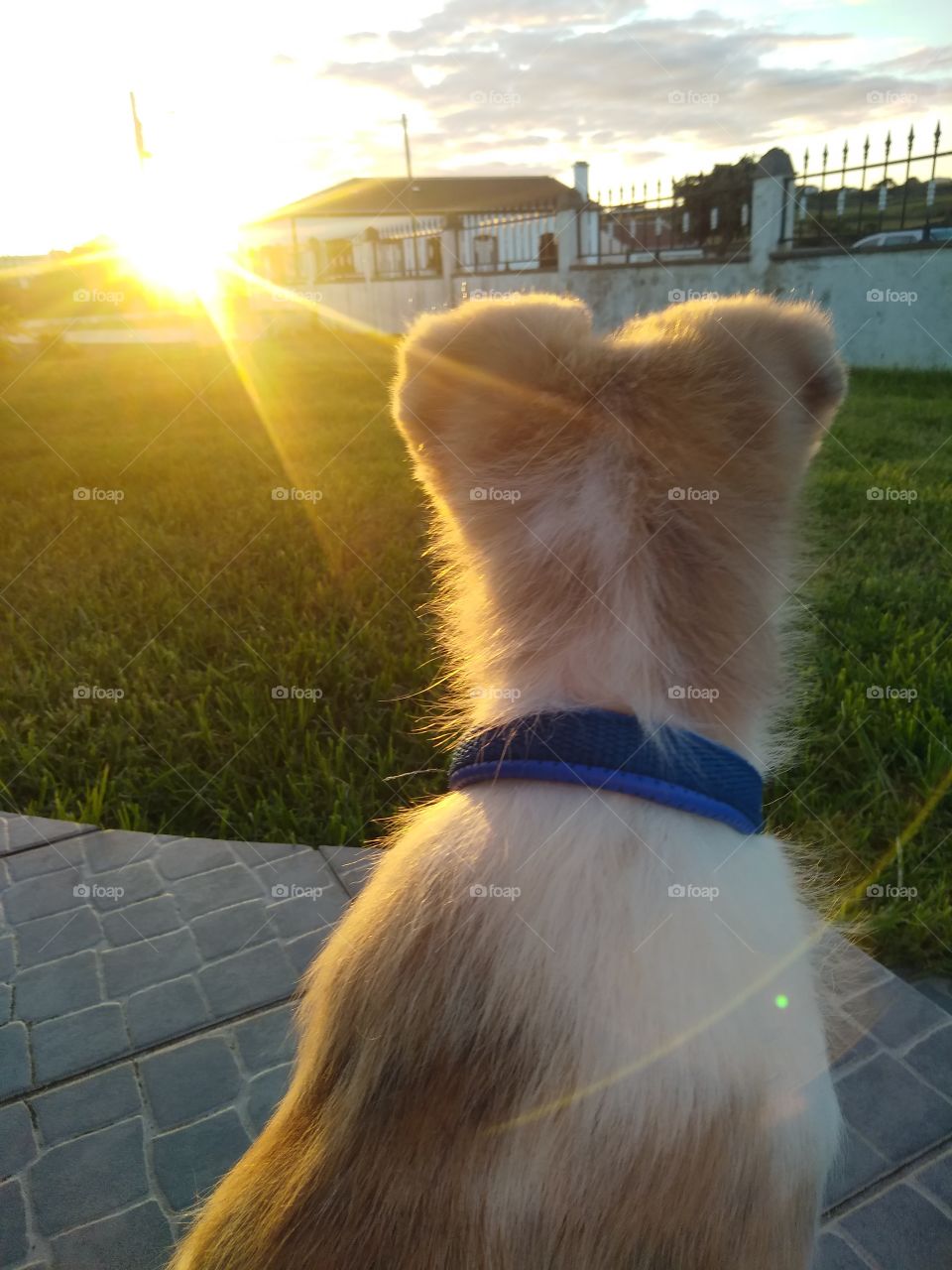 Looking into the new horizon