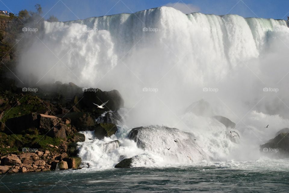 American Falls from the Niagara river