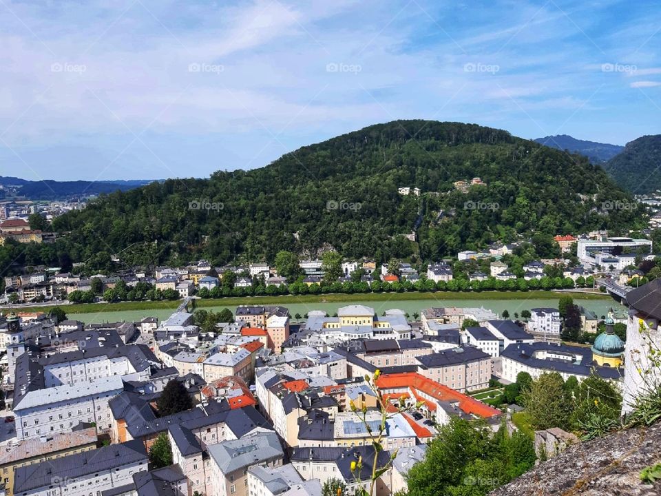 Diversity viewed from above