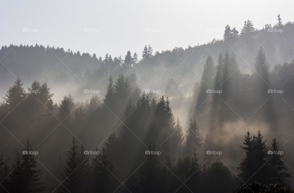 Sun rays over the mountain