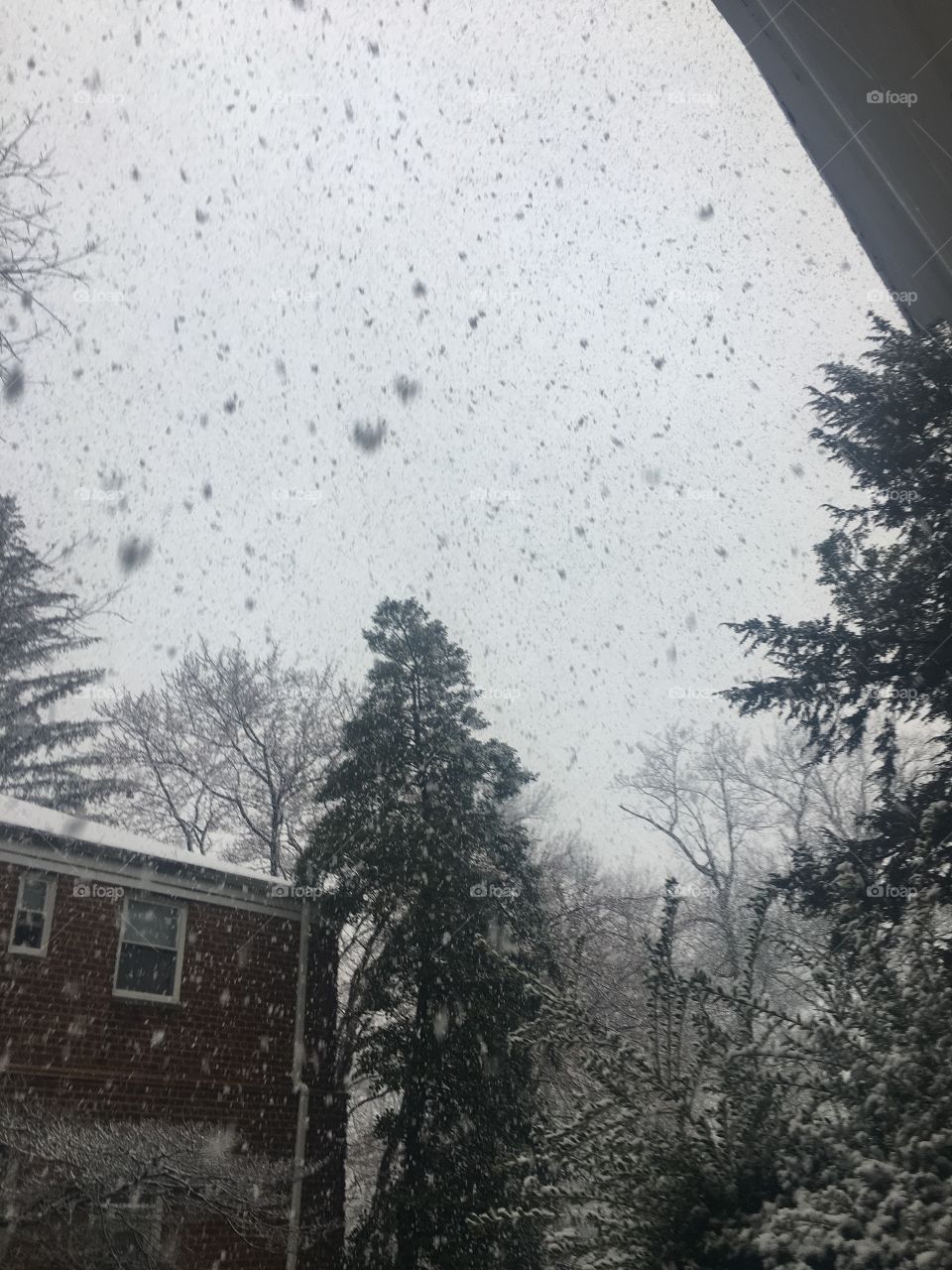 Snowflakes a’falling in the South Orange NJ Winter Wonderland 