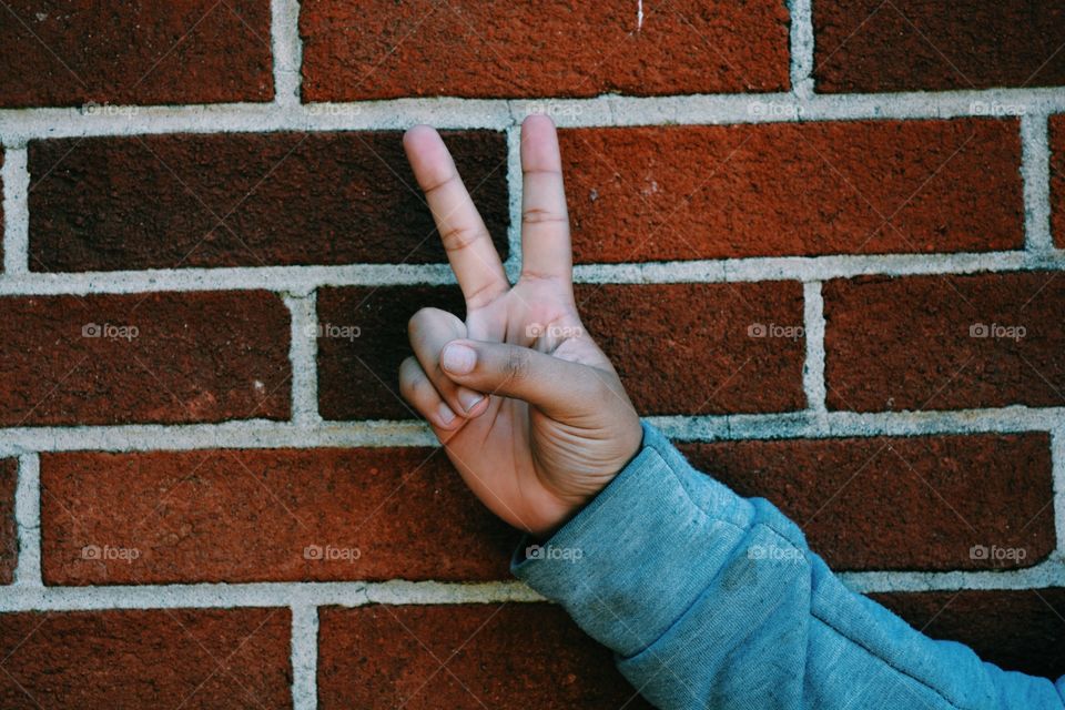 Brick, Wall, Texture, Cement, Desktop