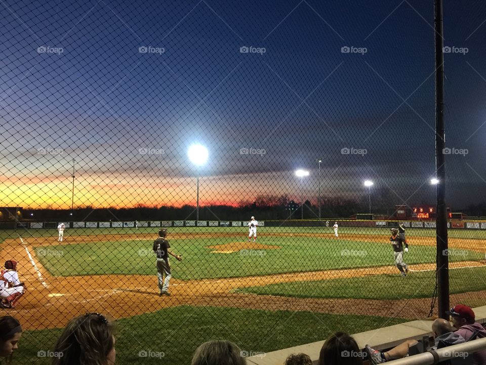 beach bird. long legs