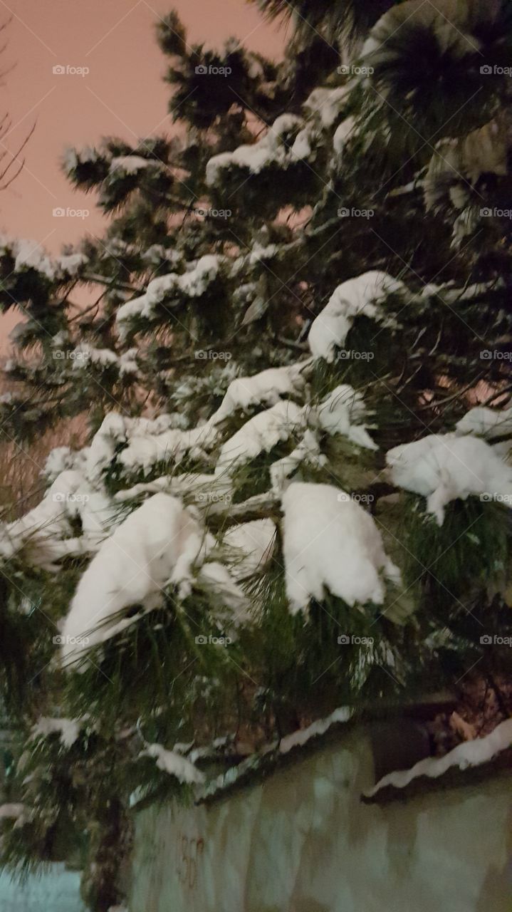Winter in Belgrade