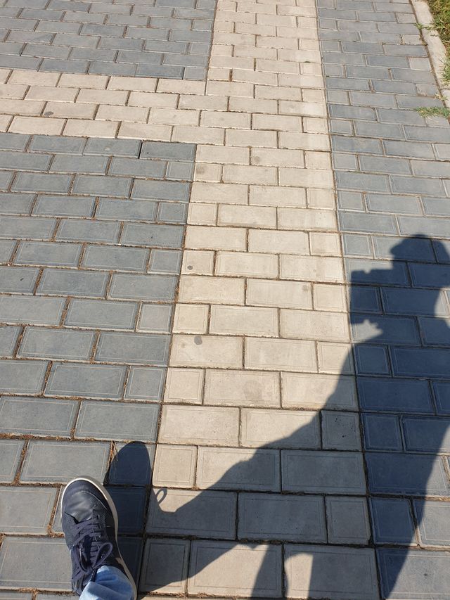 shadow