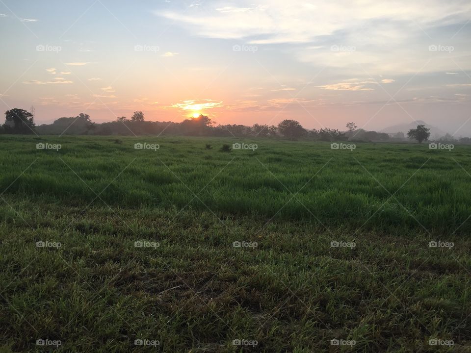 Landscape, Sunset, Dawn, Agriculture, No Person