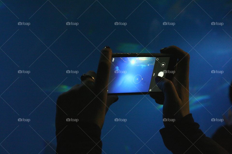 Before, you always needed a camera. Now a good phone is all you need to catch the breathtaking moments!