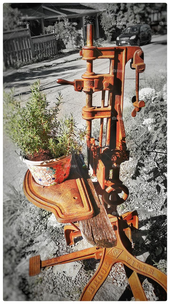 Traditional, Wood, Old, No Person, Decoration