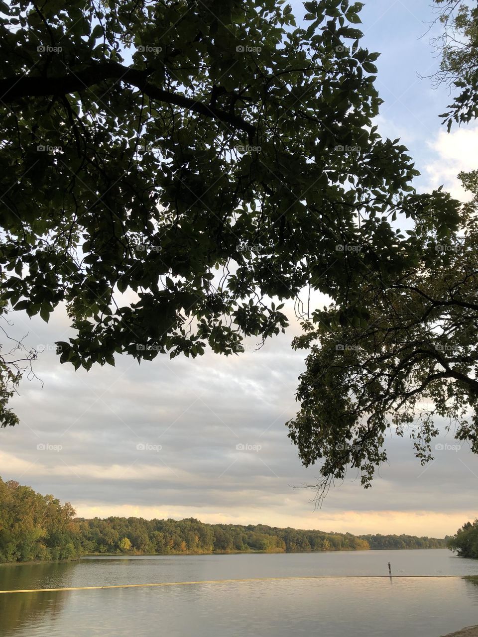 Morning lake view