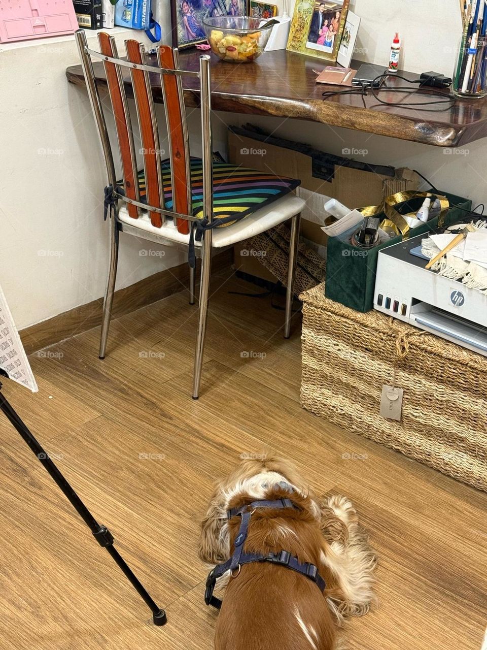 chair with cushions of many vertical lines of different colors .