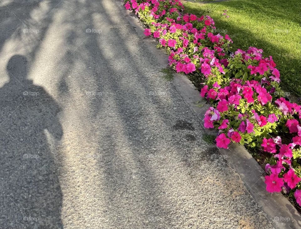 Walking by the flowers