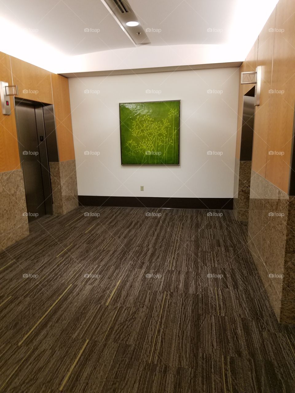 elevators and art