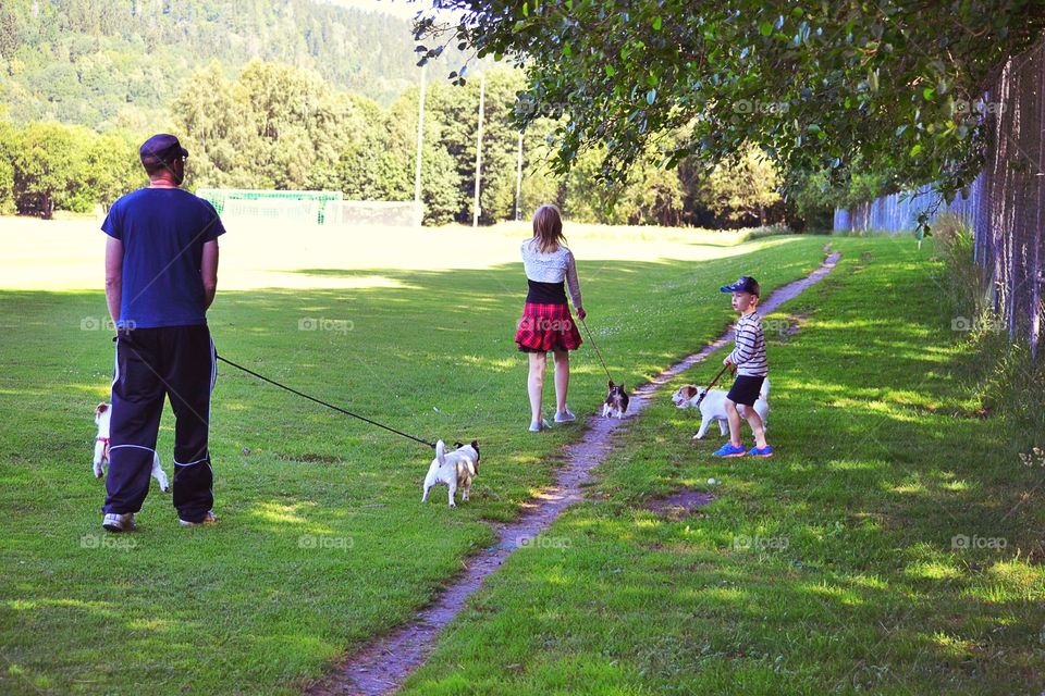 Walking. Family walking with dogs