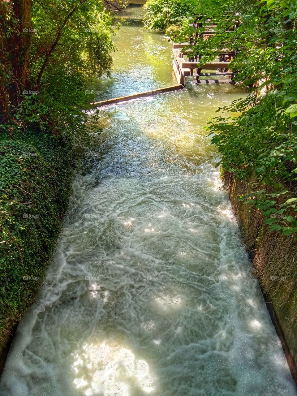 Creek in summer, Mögeldorf Nürnberg