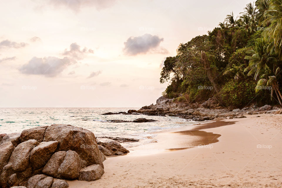 Beach landscape 