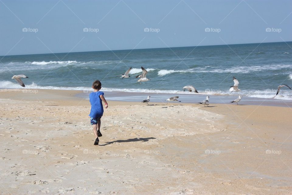Chasing seagulls